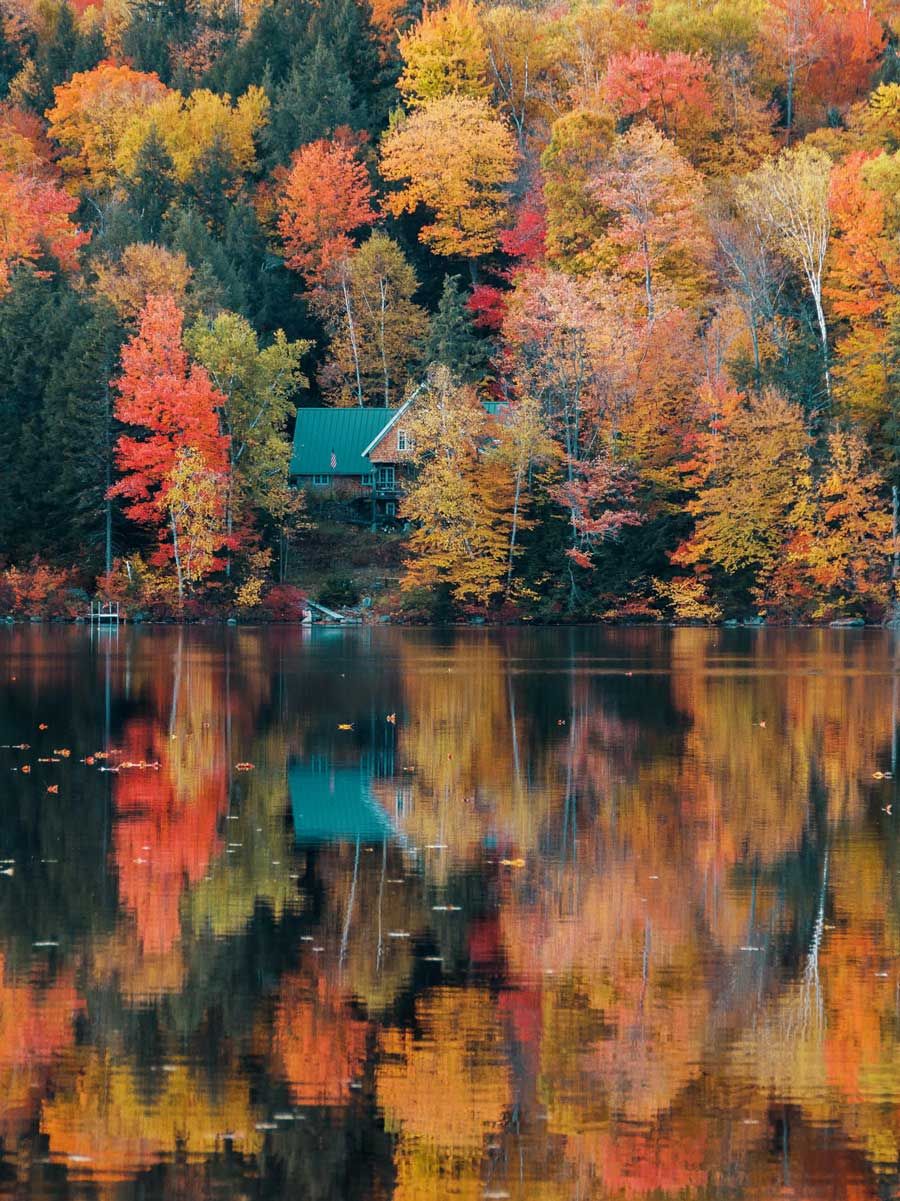 ambiance automne