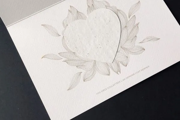 cartes-vœux-papier-ensemence