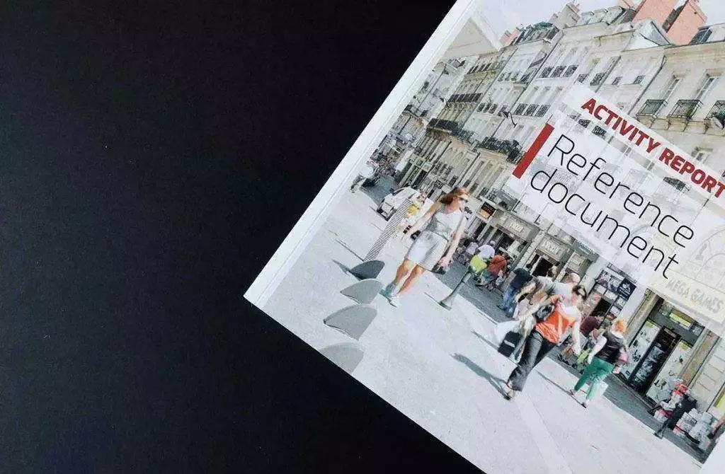 rapport annuel activité print