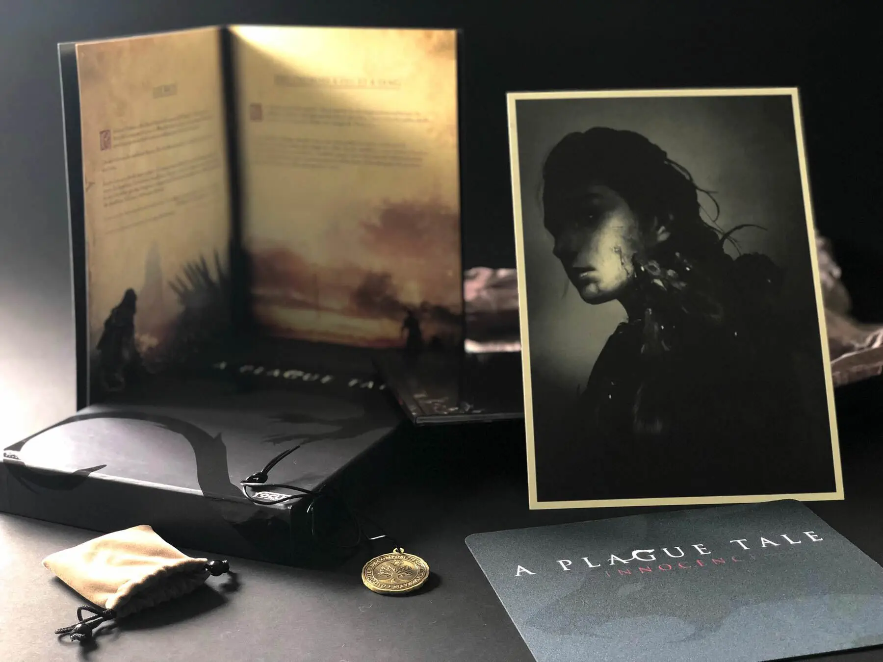 a-plague-tale-coffrets-contenu