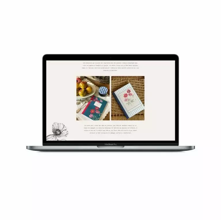 site-web-design-grafik-plus