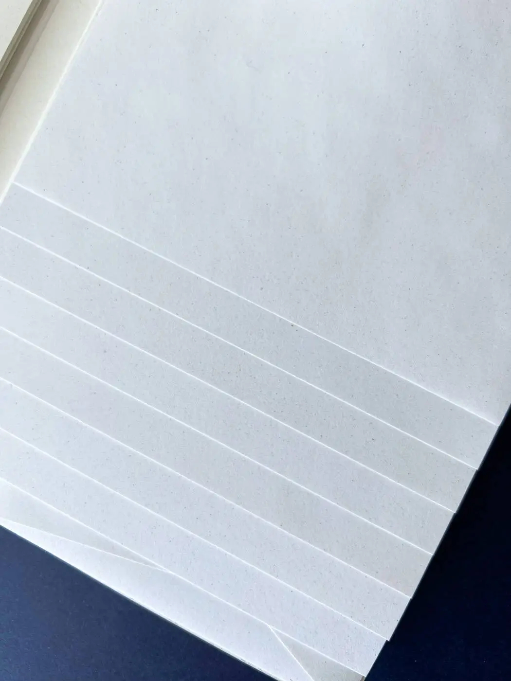 papier algues alga carta