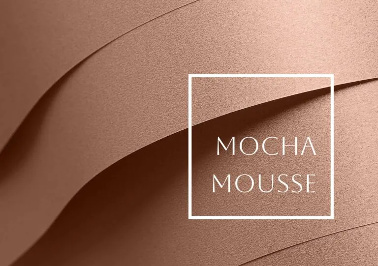 Mocha Mousse couleur
