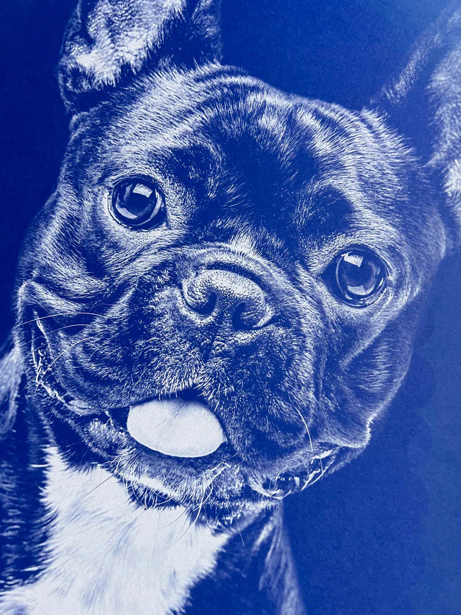 impression blanc numérique Grafik Plus-1